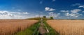 Struve Geodetic ÃÂÃâ¬ÃÂº for measuring the land in the wheat field